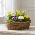 Naturalna doniczka do sadzenia winorośli, owalna, 40x19x11,5 cm | Floristik24.pl