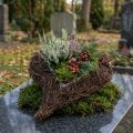 Serce z winorośli do sadzenia Natura 30cm x 25cm | Floristik24.pl