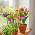 Dekoracja wiosenna korki kwiatowe drewniana dekoracja ptaka 28cm 18 szt | Floristik24.pl