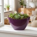 Ozdobna miska w kształcie łódki na rośliny fioletowa 20×9cm W12cm | Floristik24.pl