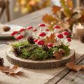 Mini muchomory na drucie czerwone białe grzyby ozdobne Ø2cm 48 szt | Floristik24.pl