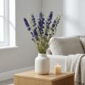 Suszone delphinium, sucha florystyka, delphinium blue L64cm 25g | Floristik24.pl