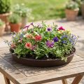 Pierścień do sadzenia "Rondino" Ø35-55cm, 1szt. | Floristik24.pl