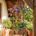 Kosz wiszący na kwiaty 2 koszyki drewno naturalne Ø20cm/26cm | Floristik24.pl