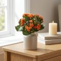 Płonąca Käthchen Kalanchoe sztuczna pomarańcza 24cm | Floristik24.pl