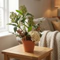 Sztuczne zielone kwiaty Skimmia japonica, 45 cm, 2 sztuki | Floristik24.pl