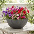 Doniczka plastikowa antracytowa Ø35cm wys.16,5cm | Floristik24.pl