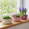 Kosz na chipsy okrągły fioletowy/biały/różowy Ø25cm 6 szt | Floristik24.pl
