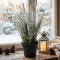 Erika biała miotła wrzosu sztuczna roślina wrzosu wys. 26 cm | Floristik24.pl