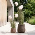 Sztuczne kwiaty ozdobne kulkowe Allium ozdobne cebulowe sztuczne 54cm | Floristik24.pl