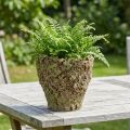 Doniczka rustykalna z motywem mchu Ø17cm H16,5cm | Floristik24.pl