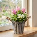Doniczka z uchwytami, metalowa, dekoracyjna do sadzenia Ø14,5cm | Floristik24.pl