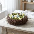 Materiał na pnącze Mühlenbeckia ok. 1 kg naturalny | Floristik24.pl