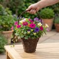 Koszyk z uchwytem, rustykalny do sadzenia Ø24×H18cm | Floristik24.pl