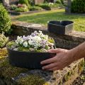 Miska dekoracyjna z tworzywa sztucznego w kształcie serca, antracytowa 24/21 cm, zestaw 2 szt | Floristik24.pl