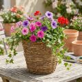 Kosz na winorośl Ø25cm H22,5cm naturalny donica | Floristik24.pl