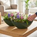 Stylowa miska łódka w kolorze ciemnozielonym - idealna do sadzenia - 39cm 2szt | Floristik24.pl