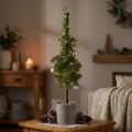 Jodła szpiczasta w doniczce sztuczna choinka Ø12cm W70cm | Floristik24.pl