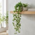 Echeveria Sztuczne Rośliny Wiszące W Zieleni Szer. 12 cm Dł. 50 cm | Floristik24.pl
