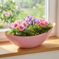 Plastikowa miska na kwiaty w kształcie łódki na rośliny różowa 28×9×9cm 3szt | Floristik24.pl