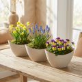Roślinna łódka ozdobna miska plastikowa beżowa 20×9cm W12cm 3szt | Floristik24.pl
