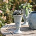 Kielich dekoracyjny w kolorze antycznego białego niebieskiego metalu, dekoracja stołu, Ø11 cm, wys. 17,5 cm | Floristik24.pl