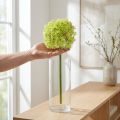 Allium zielony kwiat sztuczna cebula ozdobna Ø18cm 90cm | Floristik24.pl