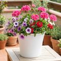 Doniczka plastikowa „Irys” biała Ø22cm W18cm 1 szt | Floristik24.pl