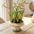Dekoracyjna miska ceramiczna z podstawą kremowo-szaro-zieloną Ø17cm 10cm | Floristik24.pl
