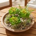 Echeveria Sztuczne Sukulenty Zielone Ø7cm 6 szt | Floristik24.pl
