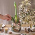 Dekoracyjny szklany wazon-latarnia ze szkła przezroczystego Ø18cm W20cm | Floristik24.pl