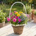 Kosz z uchwytem, kosz naturalny do sadzenia, kosz na kwiaty okrągły naturalny, biały W49cm Ø23,5cm | Floristik24.pl