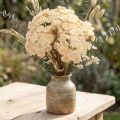 Krwawnik sztuczny krem Achillea kwiaty sztuczne 30cm 6 szt | Floristik24.pl