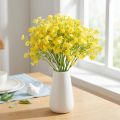 Gypsophila wiechowata ziele gipsowe kwiaty żółte L46cm 4 szt | Floristik24.pl