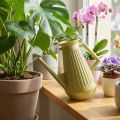 Konewka do użytku wewnętrznego, oliwkowozielona, styl retro, 24,5 cm, 1,8 l, designerska konewka, plastikowa, do podlewania roślin | Floristik24.pl