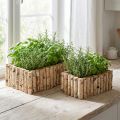 Skrzynka na rośliny Drewniana skrzynka na zioła brzozowa L23/28cm, zestaw 2 szt | Floristik24.pl