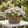 Kosz na rośliny, shabby chic, naturalna biel, wys. 14 cm, Ø30 cm, z uchwytami, dekoracja vintage | Floristik24.pl