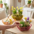Koszyk druciany z drewnianą rączką. Poręczny design. Idealny do wiosennych dekoracji, do domu i biura. 17 cm, 6 sztuk. | Floristik24.pl