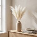 Suszone kwiaty, srebrzysta trawa. Elegancka, naturalna dekoracja do domu i biura. 70 cm, 10 sztuk. | Floristik24.pl