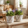 Doniczka dekoracyjna z brzozy bielonej Ø18cm W15cm 2szt | Floristik24.pl