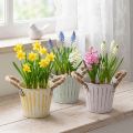 Doniczka do sadzenia, metalowa z uchwytami, dekoracyjna doniczka, różowo-zielono-żółta, w stylu shabby chic, Ø12 cm, wys. 10 cm, zestaw 3 szt. | Floristik24.pl