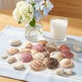 Puste sercówki w naturalnej muszli dekoracyjnej 3cm–5cm 300g | Floristik24.pl