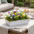 Miska gniazdowa Lara 15cm x 8cm x 4cm 10szt | Floristik24.pl