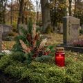 Mech dekoracyjny suszony mech leśny zielony naturalny dekoracja 300g | Floristik24.pl