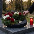 Kwiatowy pierścionek piankowy czarny Ø44cm W6cm 2 szt | Floristik24.pl