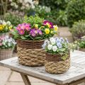 Wiklinowy Kosz Naturalny Wiklinowy Miska Roślinna Naturalny L30/22cm W20/17cm Zestaw 2 | Floristik24.pl