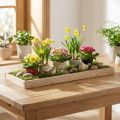 Taca dekoracyjna podłużna taca drewniana naturalna 42×14×3cm 3szt | Floristik24.pl