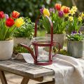 Szklana dekoracyjna konewka z latarnią, metalowa czerwona Ø14cm W13cm | Floristik24.pl