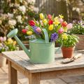 Dekoracyjna metalowa konewka, miętowa, do roślin i dekoracji, wiosna/lato, wys. 26 cm, 5 l | Floristik24.pl