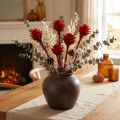 Plumosum 1 Czerwony 25 szt | Floristik24.pl